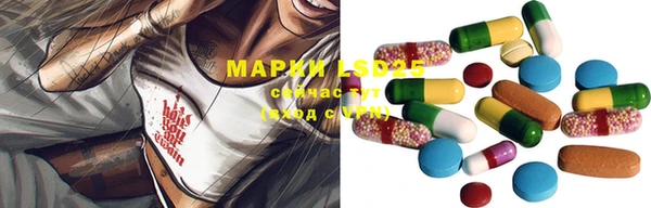 шишки Алексин