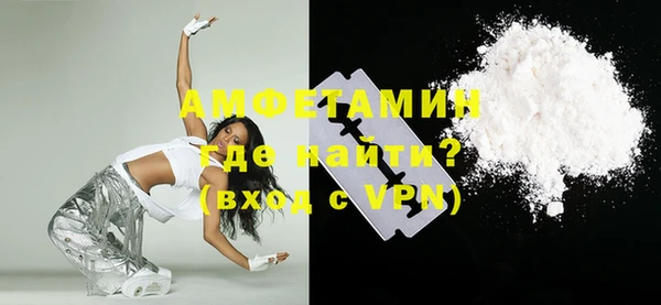 прущие грибы Новодвинск