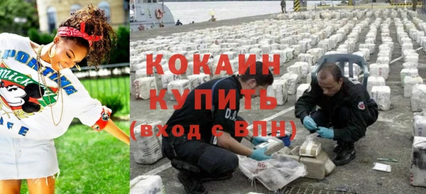 шишки Алексин