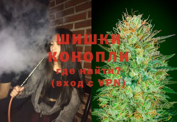 шишки Алексин