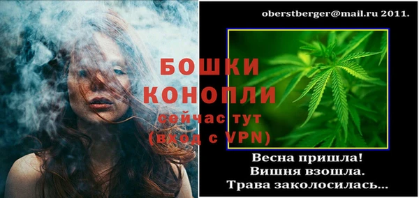 гидра Алексеевка