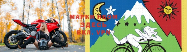 шишки Алексин