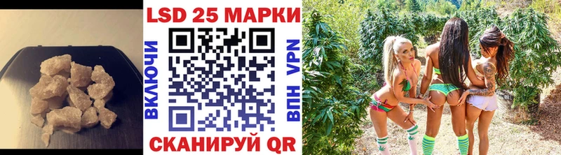 кракен сайт Нефтекумск LSD-25 экстази кислота