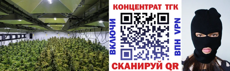 ТГК гашишное масло  Нефтекумск 