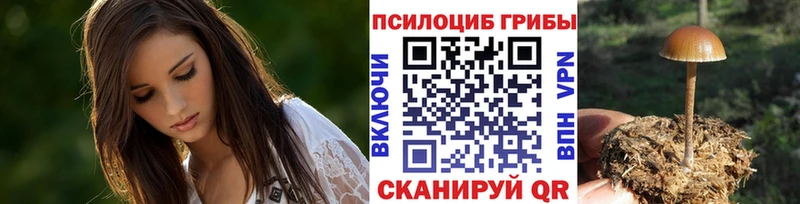 купить закладку  kraken ONION  Галлюциногенные грибы Magic Shrooms  Нефтекумск 
